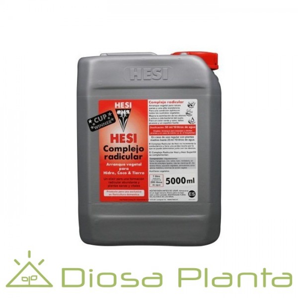 Hesi complejo radicular Hesi complejo radicular