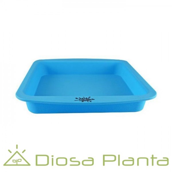Bandeja de silicona Nogoo (BHO) Bandeja de silicona Nogoo (BHO)