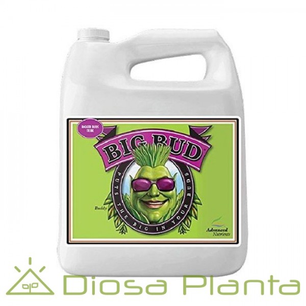 Big Bud (líquido) 5 y 10 litros Big Bud (líquido) 5 y 10 litros