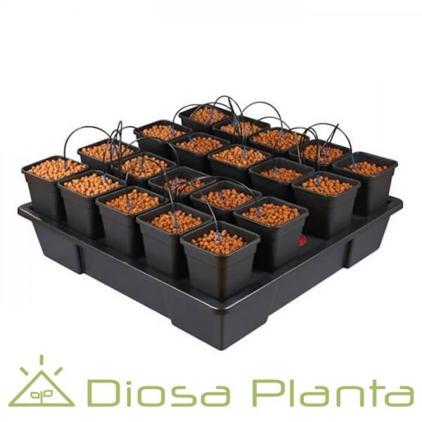 Wilma XXL 20 (20 x 6 L) Wilma XXL 20 (20 x 6 L)