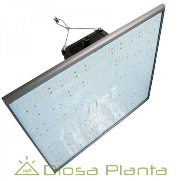 Pure LED Q Pure LED Q