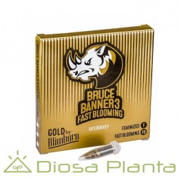 Bruce Banner Nº3 FBV Fast version (Blimburn Seeds)