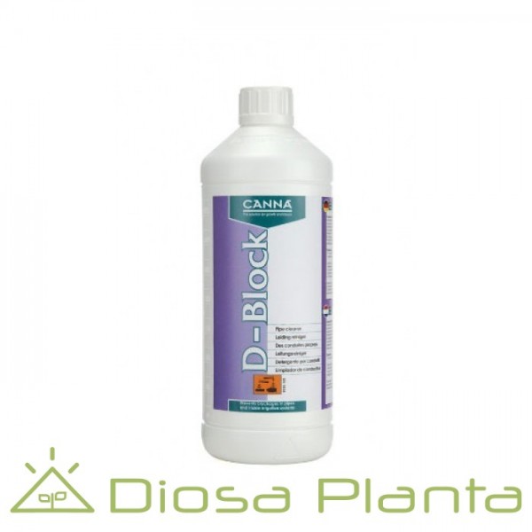 Canna D-Block (Canna) Canna D-Block (Canna)