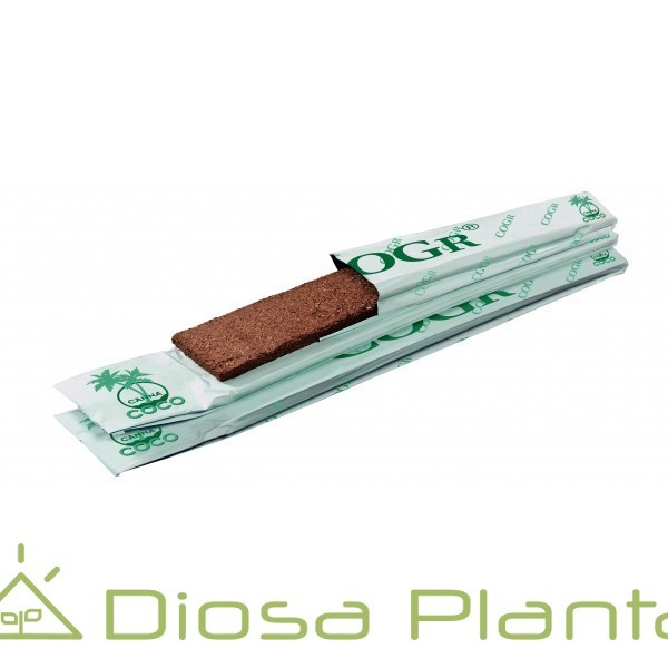 Canna COgr Slabs (Canna) Canna COgr Slabs (Canna)