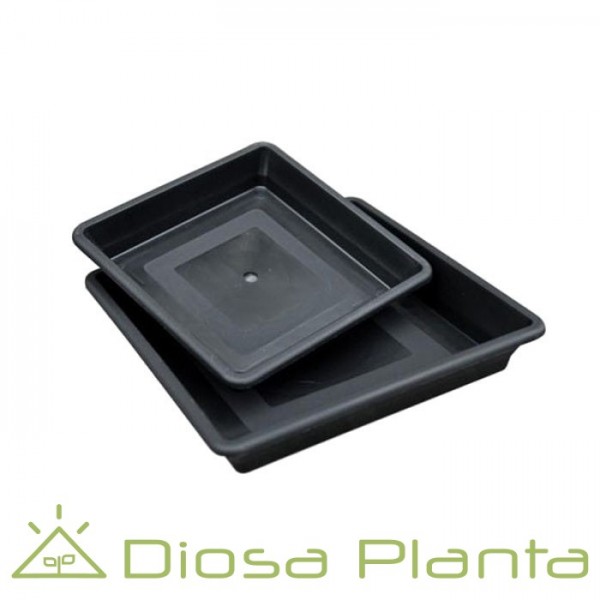 Platos para macetas (varios tamaños) Platos para macetas (varios tamaños)