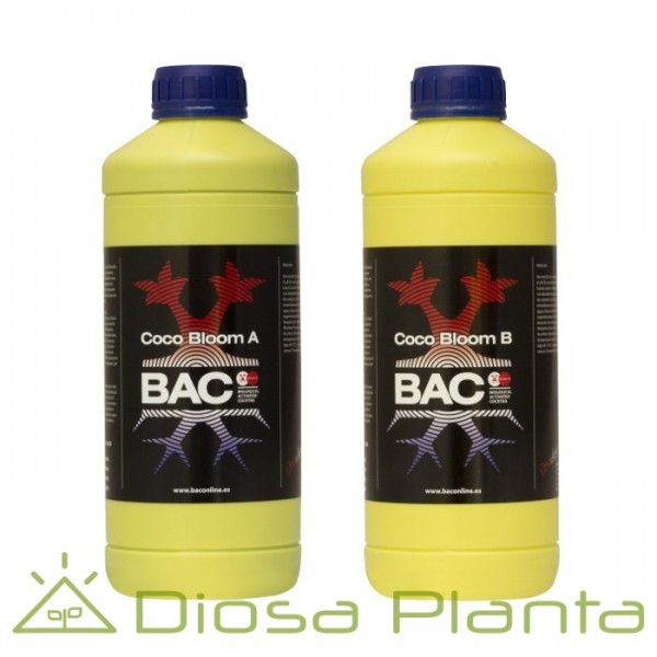 Bac Coco Bloom A y B Bac Coco Bloom A y B