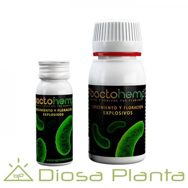 Bactohemp (Agrobacterias) Bactohemp (Agrobacterias)