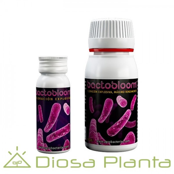 Bactobloom (Agrobacterias) Bactobloom (Agrobacterias)