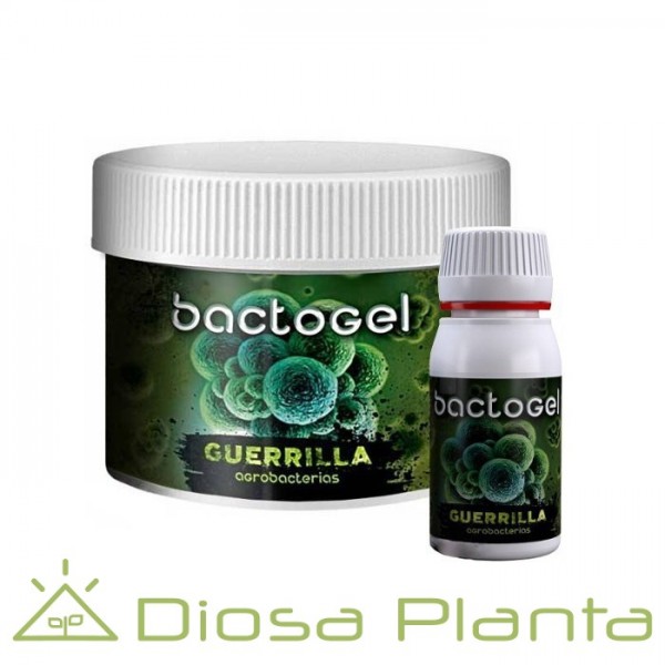 Bactogel Guerrilla (Agrobacterias) Bactogel Guerrilla (Agrobacterias)