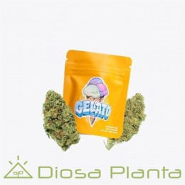 Gelato flores CBD de Gorilla Grillz