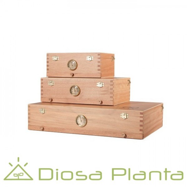 Cajas de curado 00 Box (3 tamaños)