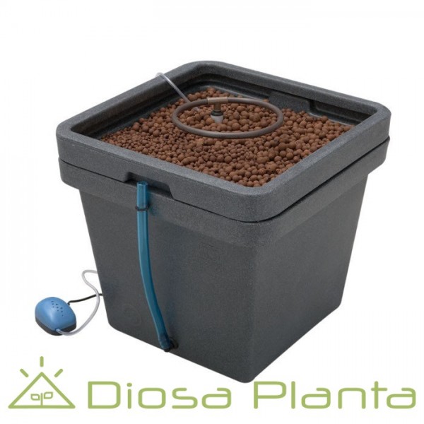 Aquafarm (GHE) - sistema hidropónico Aquafarm (GHE) - sistema hidropónico