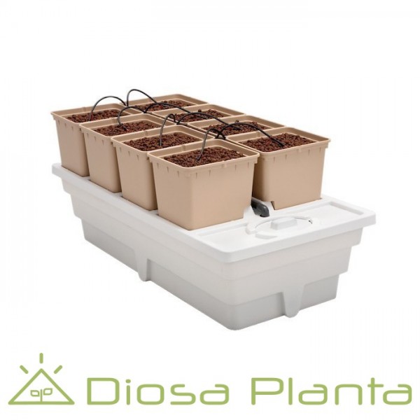 Panda (GHE) - sistema hidropónico Panda (GHE) - sistema hidropónico