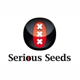 Semillas CBD Serious Seeds