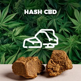 Hash CBD