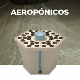 Aeropónicos