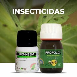 Contra insectos