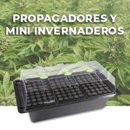 Propagadores y mini invernaderos