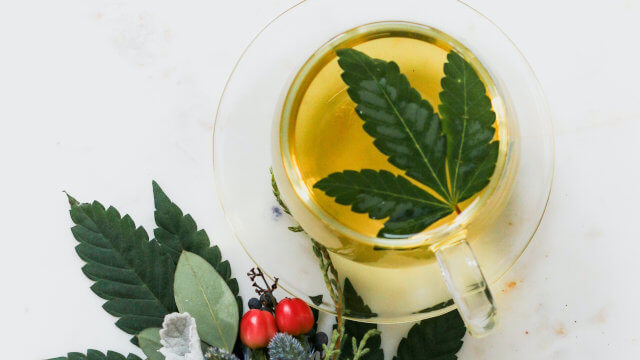 Marihuana Medicinal, todo lo que necesitas para usarla al 100%