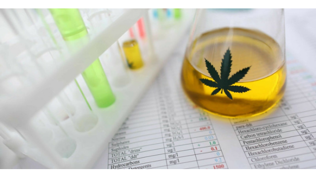 Cómo eliminar el THC del organismo | Da negativo por marihuana en los test de drogas