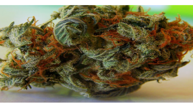 Partes de un cogollo de marihuana